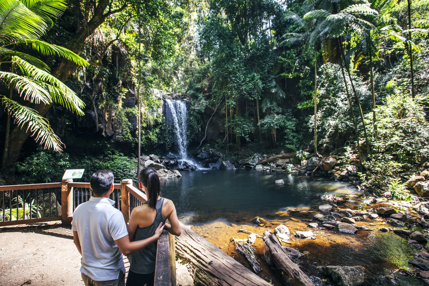 20% off Hinterland and Rainforest Tours